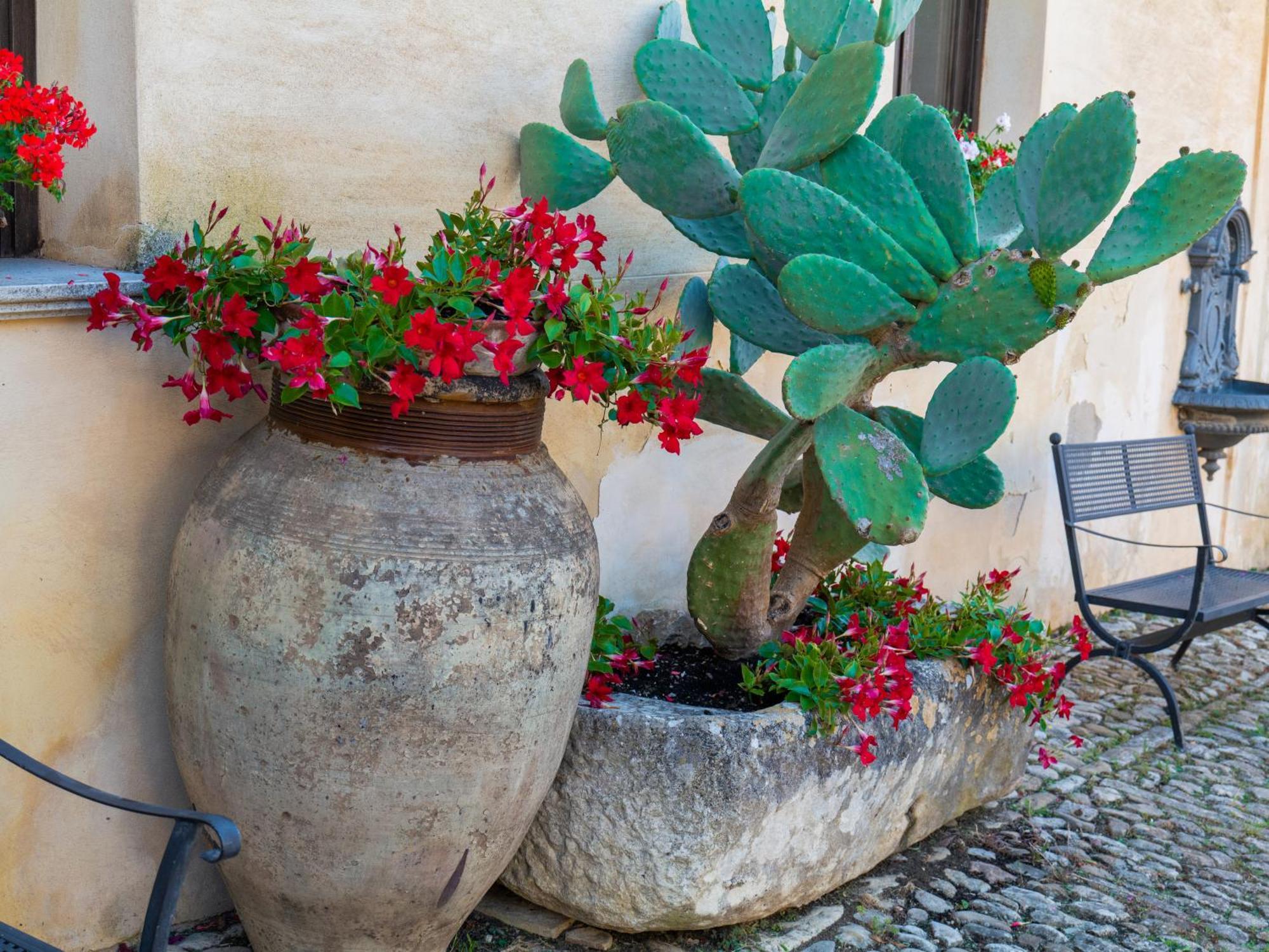 Agriturismo Baglio Fontana Buseto Palizzolo Eksteriør billede